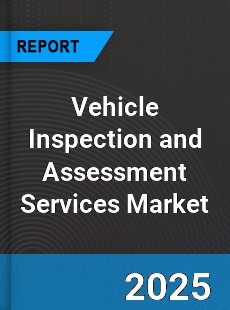 Global Vehicle Inspection and Assessment Services Outlook