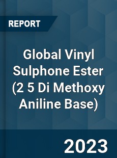 Global Vinyl Sulphone Ester Industry