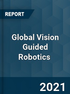 Global Vision Guided Robotics Market