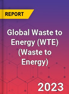 Global Waste to Energy Market