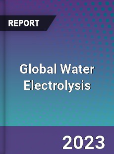 Global Water Electrolysis Industry