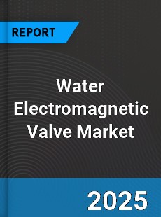 Global Water Electromagnetic Valve Market