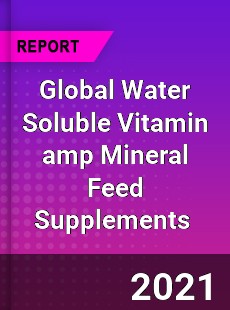 Global Water Soluble Vitamin & Mineral Feed Supplements Market