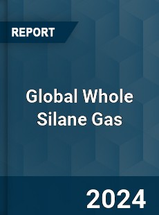 Global Whole Silane Gas Market