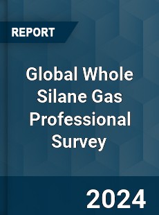 Global Whole Silane Gas Professional Survey Report