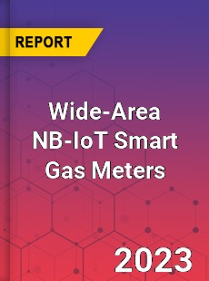 Global Wide Area NB IoT Smart Gas Meters Market
