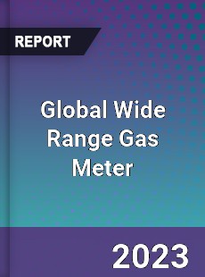 Global Wide Range Gas Meter Industry