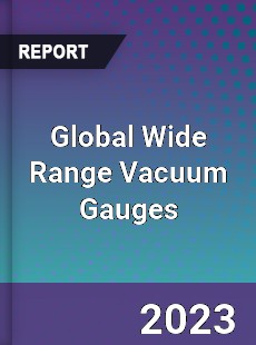 Global Wide Range Vacuum Gauges Industry