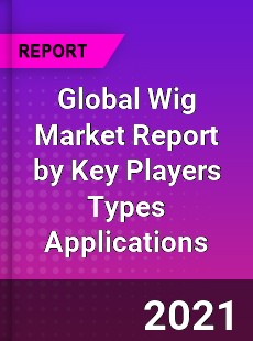 Global Wig Market Report by Key Players Types Applications