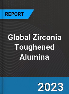 Global Zirconia Toughened Alumina Market