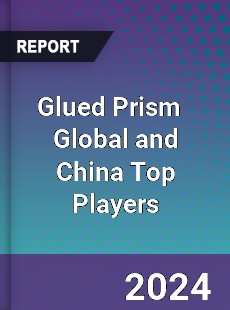Glued Prism Global and China Top Players Market