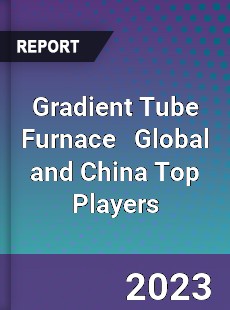 Gradient Tube Furnace Global and China Top Players Market