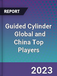Guided Cylinder Global and China Top Players Market