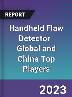 Handheld Flaw Detector Global and China Top Players Market