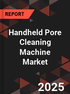 Handheld Pore Cleaning Machine Global and China Top Players Market