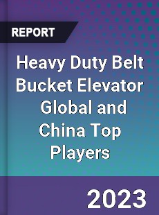 Heavy Duty Belt Bucket Elevator Global and China Top Players Market