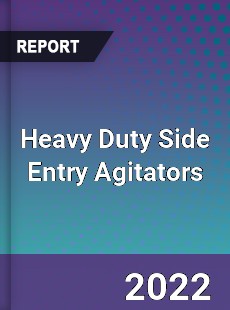 Heavy Duty Side Entry Agitators Market