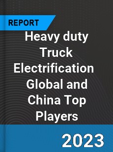 Heavy duty Truck Electrification Global and China Top Players Market