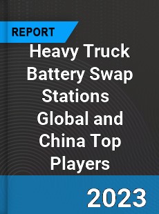 Heavy Truck Battery Swap Stations Global and China Top Players Market