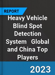 Heavy Vehicle Blind Spot Detection System Global and China Top Players Market