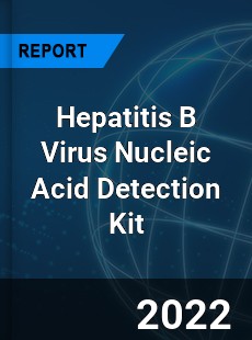 Hepatitis B Virus Nucleic Acid Detection Kit Market