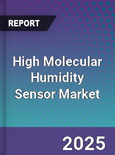 High Molecular Humidity Sensor Market