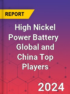 High Nickel Power Battery Global and China Top Players Market