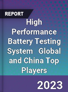 High Performance Battery Testing System Global and China Top Players Market
