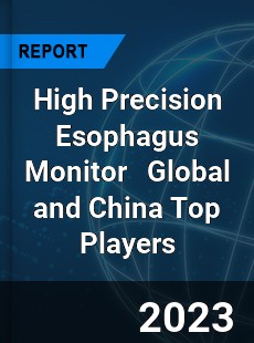 High Precision Esophagus Monitor Global and China Top Players Market
