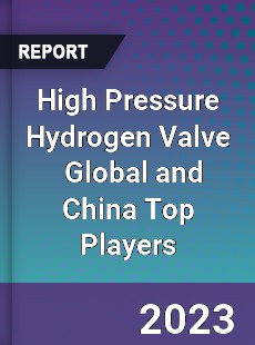 High Pressure Hydrogen Valve Global and China Top Players Market