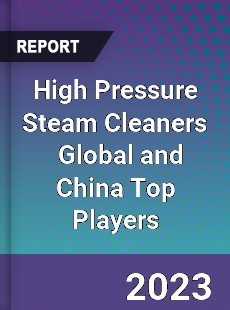 High Pressure Steam Cleaners Global and China Top Players Market