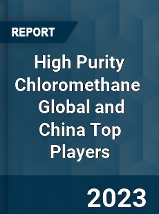 High Purity Chloromethane Global and China Top Players Market