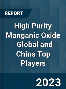 High Purity Manganic Oxide Global and China Top Players Market