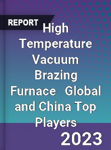 High Temperature Vacuum Brazing Furnace Global and China Top Players Market