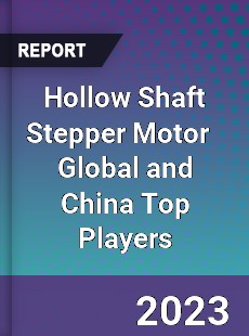 Hollow Shaft Stepper Motor Global and China Top Players Market