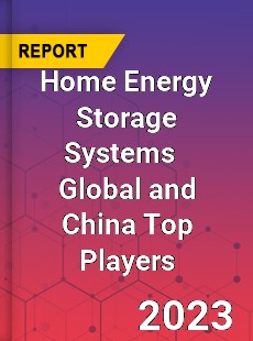 Home Energy Storage Systems Global and China Top Players Market