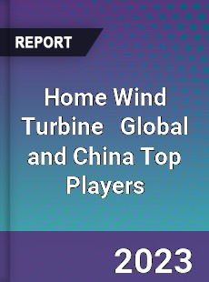 Home Wind Turbine Global and China Top Players Market