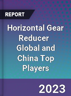 Horizontal Gear Reducer Global and China Top Players Market