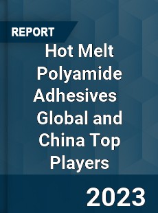 Hot Melt Polyamide Adhesives Global and China Top Players Market