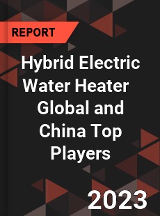 Hybrid Electric Water Heater Global and China Top Players Market