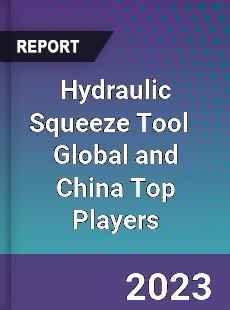 Hydraulic Squeeze Tool Global and China Top Players Market