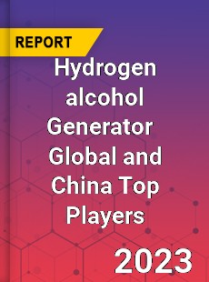 Hydrogen alcohol Generator Global and China Top Players Market