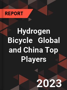 Hydrogen Bicycle Global and China Top Players Market