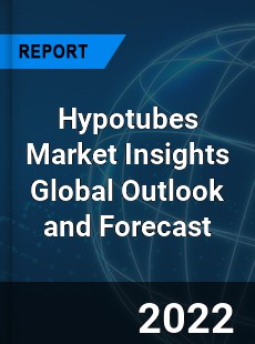 Hypotubes Market Insights Global Outlook and Forecast