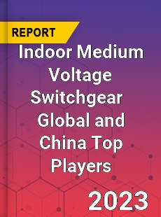 Indoor Medium Voltage Switchgear Global and China Top Players Market