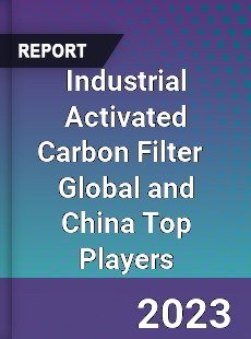 Industrial Activated Carbon Filter Global and China Top Players Market