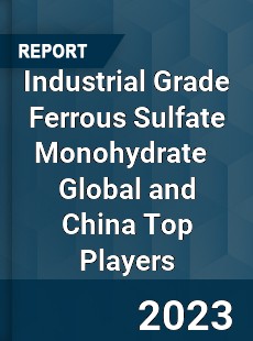 Industrial Grade Ferrous Sulfate Monohydrate Global and China Top Players Market