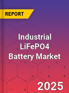 Industrial LiFePO4 Battery Global and China Top Players Market