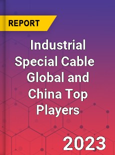 Industrial Special Cable Global and China Top Players Market