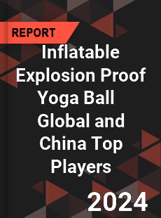 Inflatable Explosion Proof Yoga Ball Global and China Top Players Market
